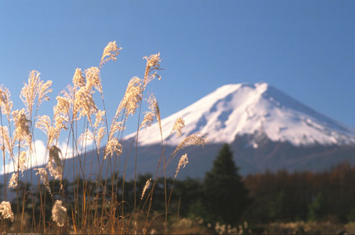 Fuji