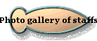 Photo gallery of staffs 