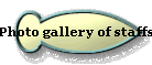  Photo gallery of staffs 